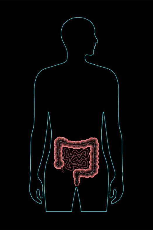 bigstock Gut Microbiome Medical Poster 432722939 bigstock Gut Microbiome Medical Poster 432722939