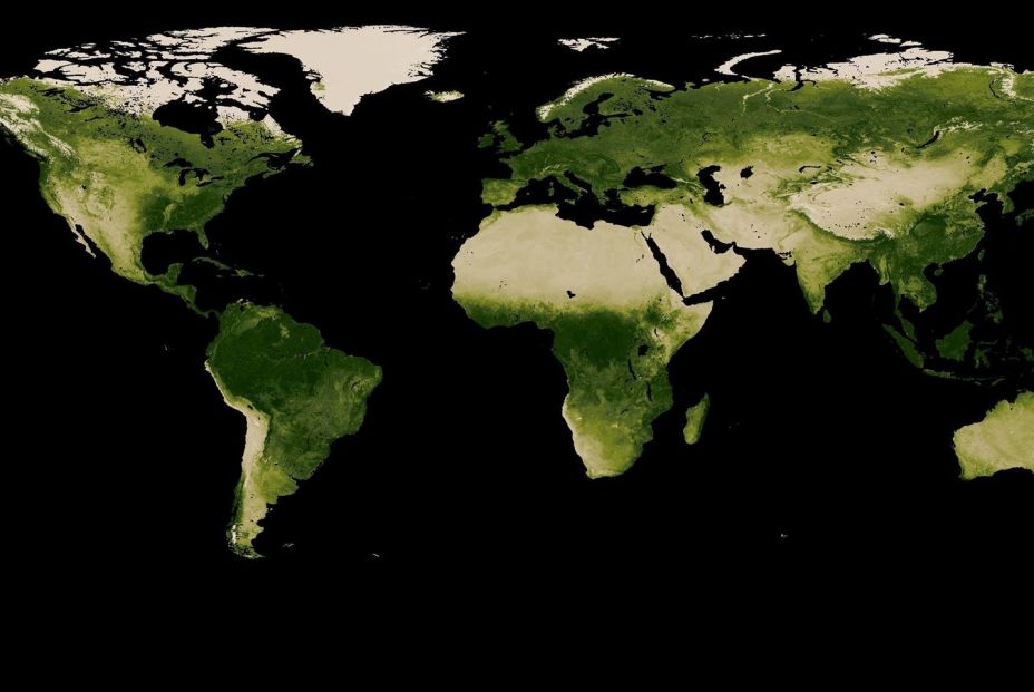 EuropaPress 4962280 mapa estado grandes areas boscosas obtenido partir imagenes satelite EuropaPress 4962280 mapa estado grandes areas boscosas obtenido partir imagenes satelite