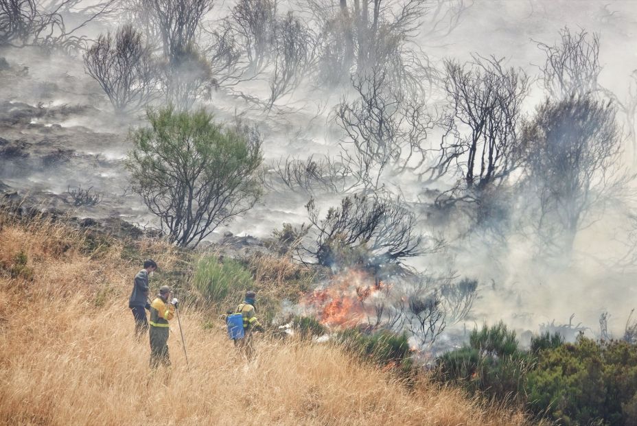Casi 400.000 hectáreas han ardido en España en 2025, la mayoría en el último mes