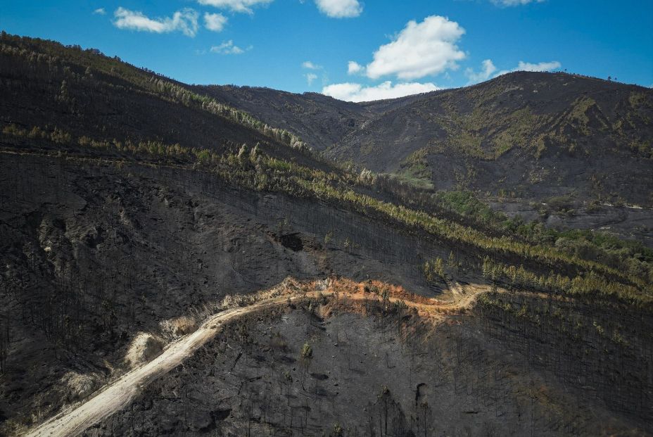 Casi 400.000 hectáreas han ardido en España en 2025, la mayoría en el último mes