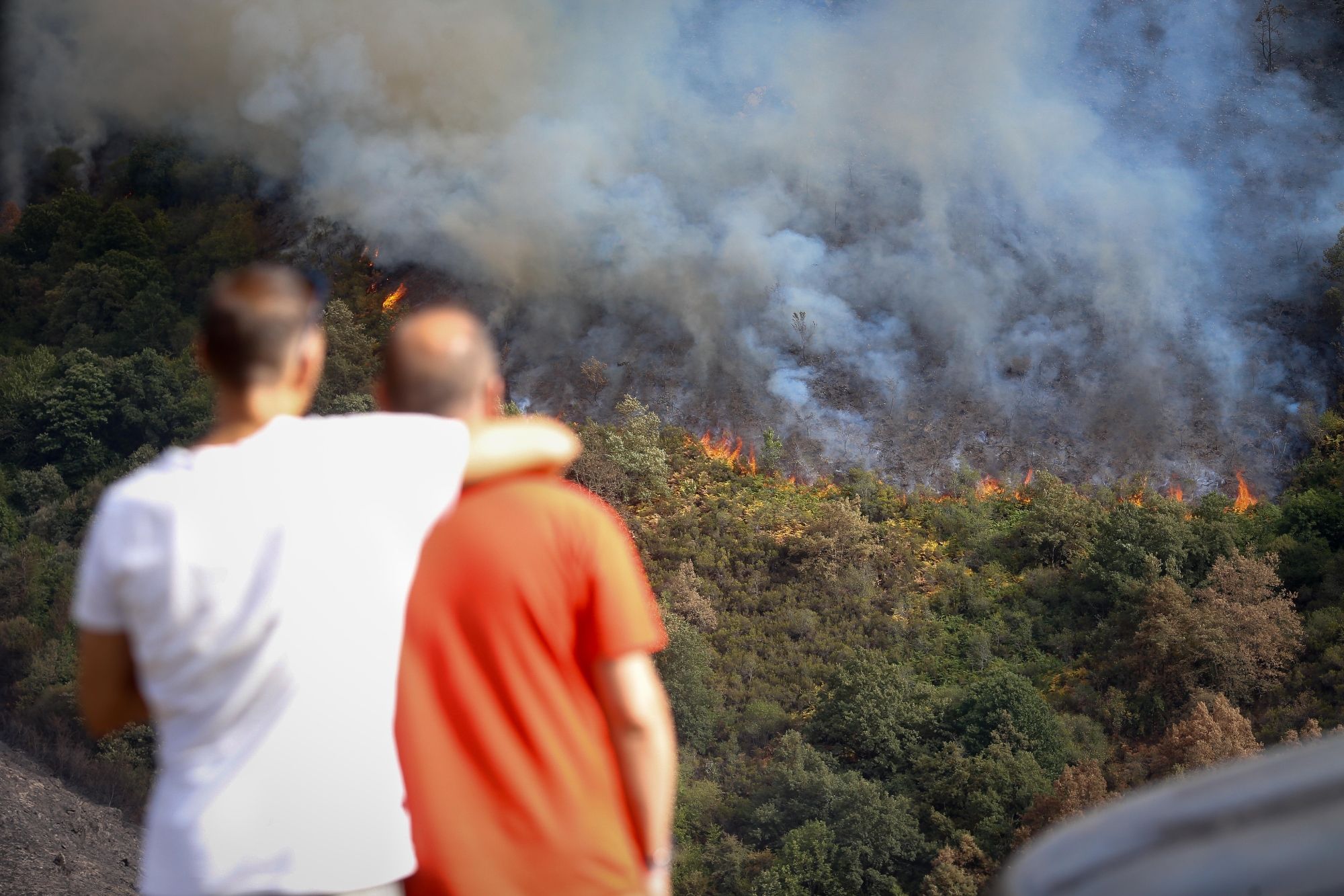 Agricultores y ecologistas lo dejan claro: "Un fuego se apaga en invierno con limpiezas de montes" (Carlos Castro / Europa Press)