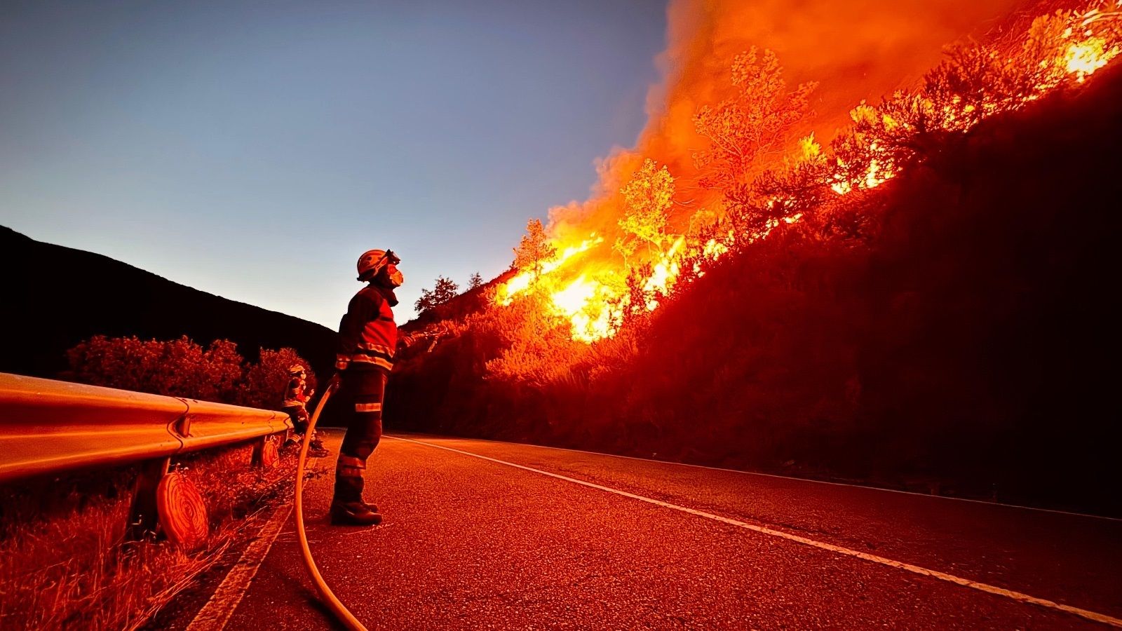 Incendios se elevan a 40 los detenidos y se investiga a otras 119 personas Incendios se elevan a 40 los detenidos y se investiga a otras 119 personas