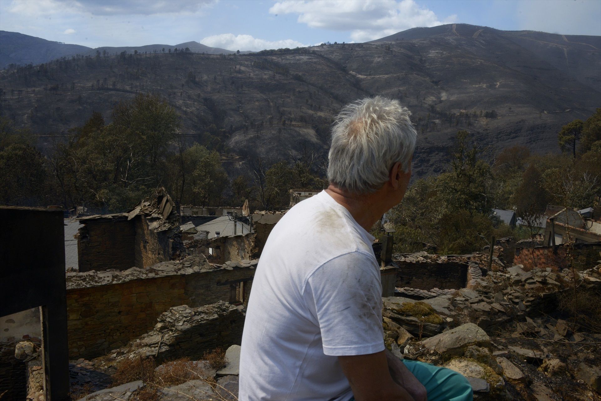Asaja reclama ayudas inmediatas para los afectados por los incendios