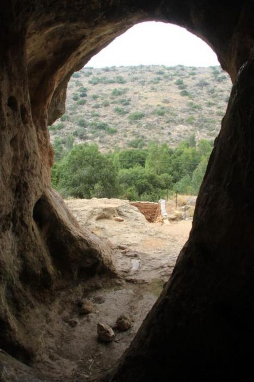 Hallan la evidencia más antigua del cruce entre neandertales y sapiens Hallan la evidencia más antigua del cruce entre neandertales y sapiens