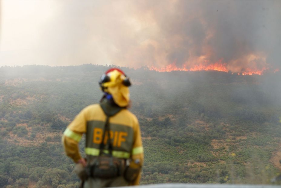 EuropaPress 6914062 bombero observa incendio forestal 24 agosto 2025 bana encinedo cabrera leon EuropaPress 6914062 bombero observa incendio forestal 24 agosto 2025 bana encinedo cabrera leon