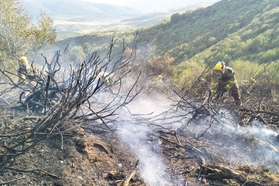EuropaPress 6913095 efectivos infoar desplazados gobierno aragon incendio barniedo reina leon EuropaPress 6913095 efectivos infoar desplazados gobierno aragon incendio barniedo reina leon