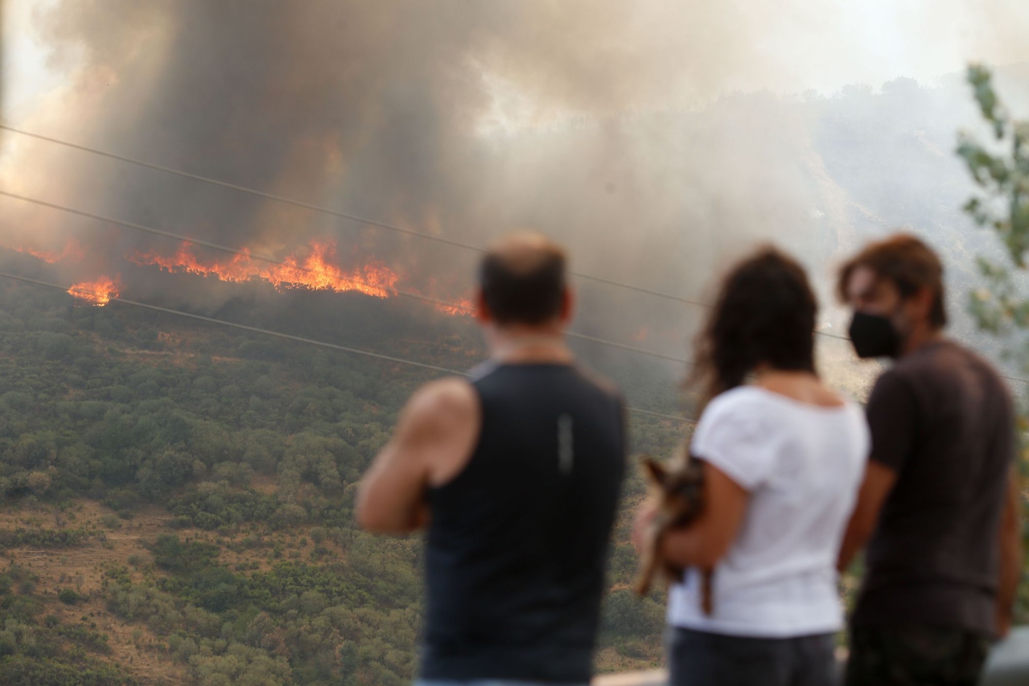 La OCU lanza una campaña para ayudar a los afectados por incendios forestales a reclamar daños (Gustavo de la Paz / Europa Press) La OCU lanza una campaña para ayudar a los afectados por incendios forestales a reclamar daños (Gustavo de la Paz / Europa Press)
