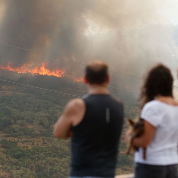 La OCU lanza una campaña para ayudar a los afectados por incendios forestales a reclamar daños (Gustavo de la Paz / Europa Press)