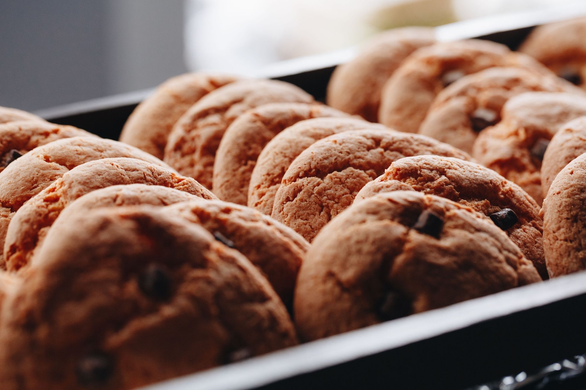 Alerta alimentaria: piden no consumir estas galletas por posible presencia de partículas metálicas
