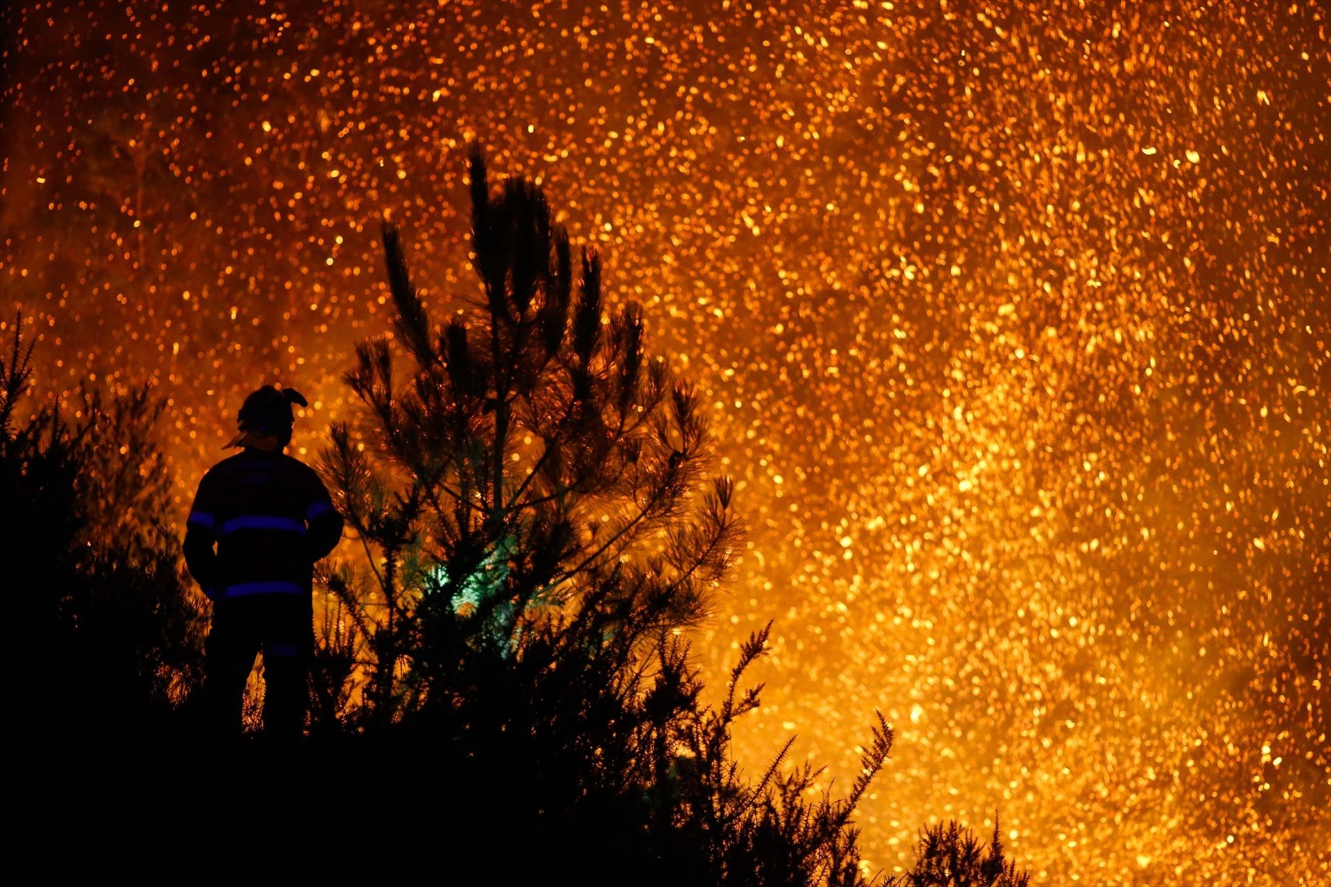 Última hora de los incendios en España: alerta máxima en Lugo y Castilla y León