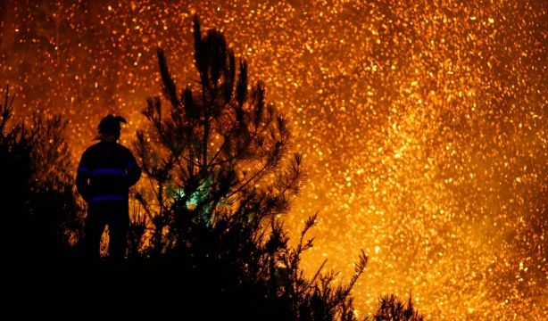 El peor año de incendios forestales: El fuego arrasó 354.793,50 hectáreas en España en 2025