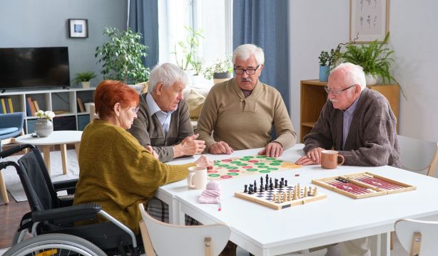 A vueltas con el silver living