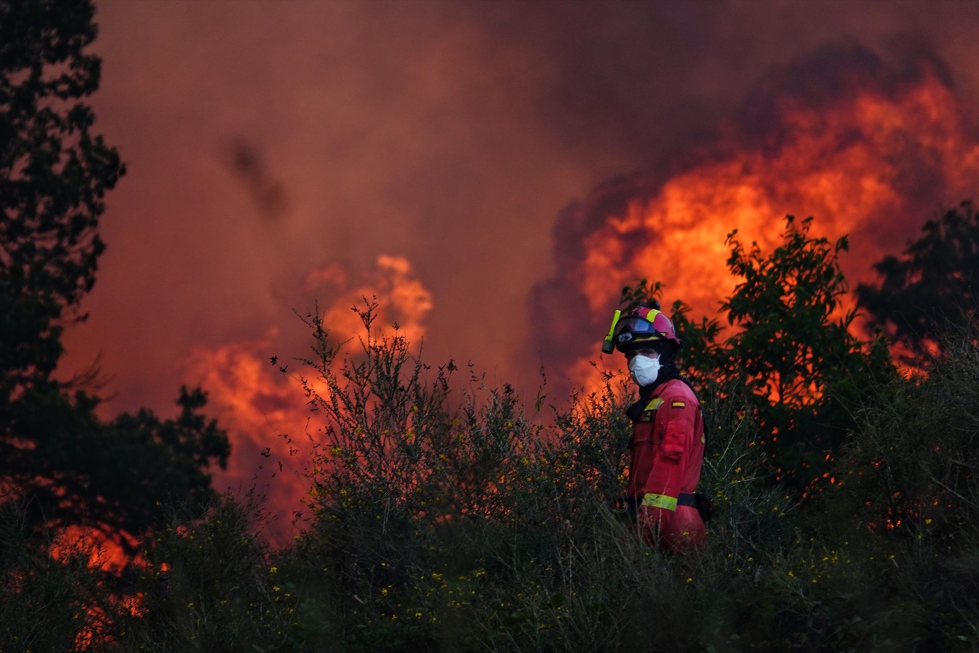 Última hora de los incendios: Asturias evacúa seis pueblos por el avance del fuego en Ibias