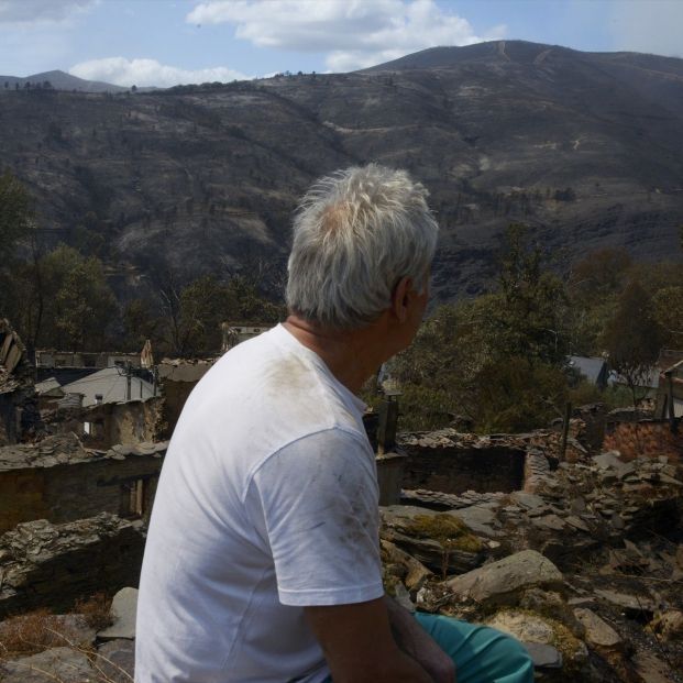 ayudas inmediatas incendios ayudas inmediatas incendios