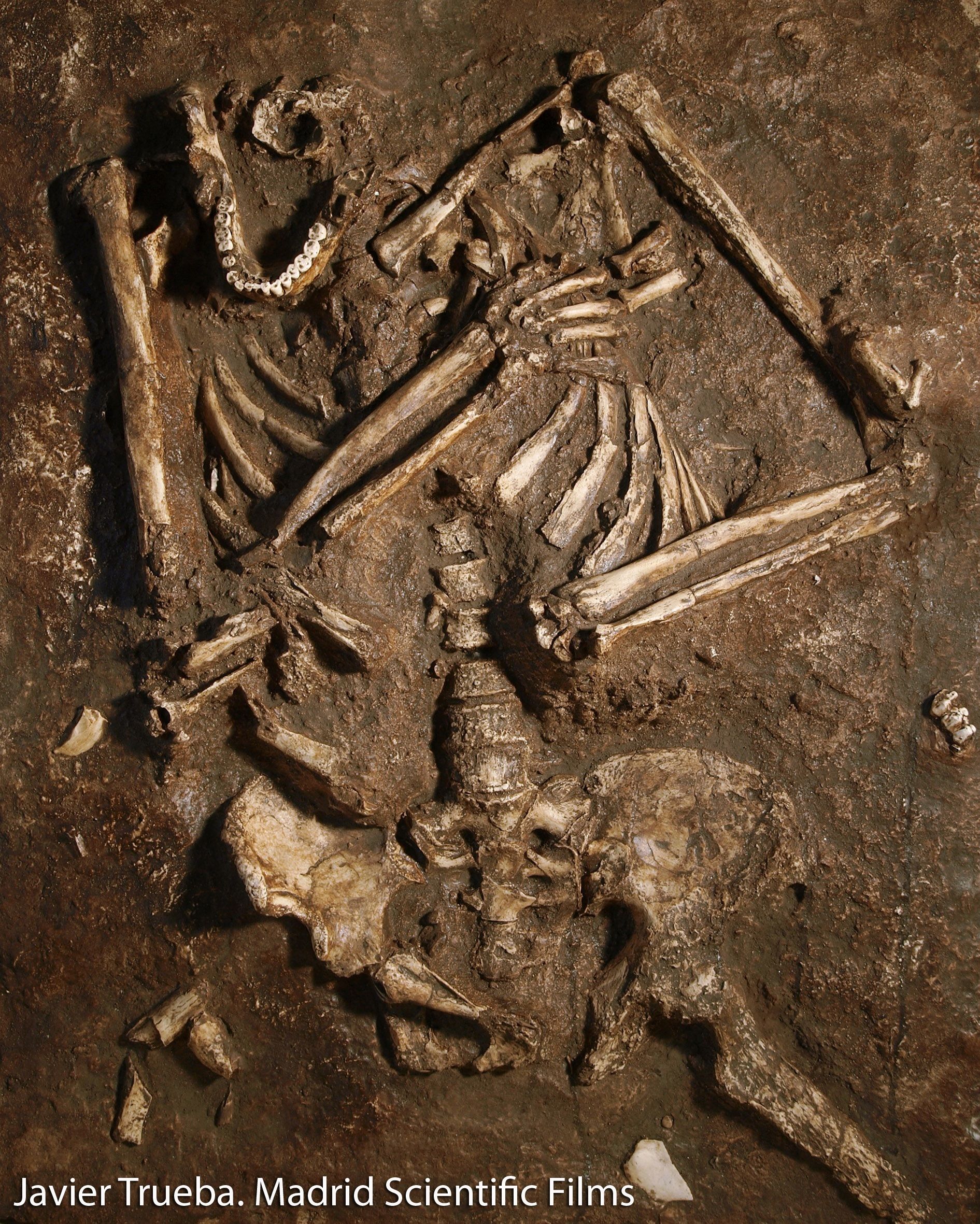 Un equipo del CENIEH confirma prácticas funerarias de neandertales en la Península Ibérica