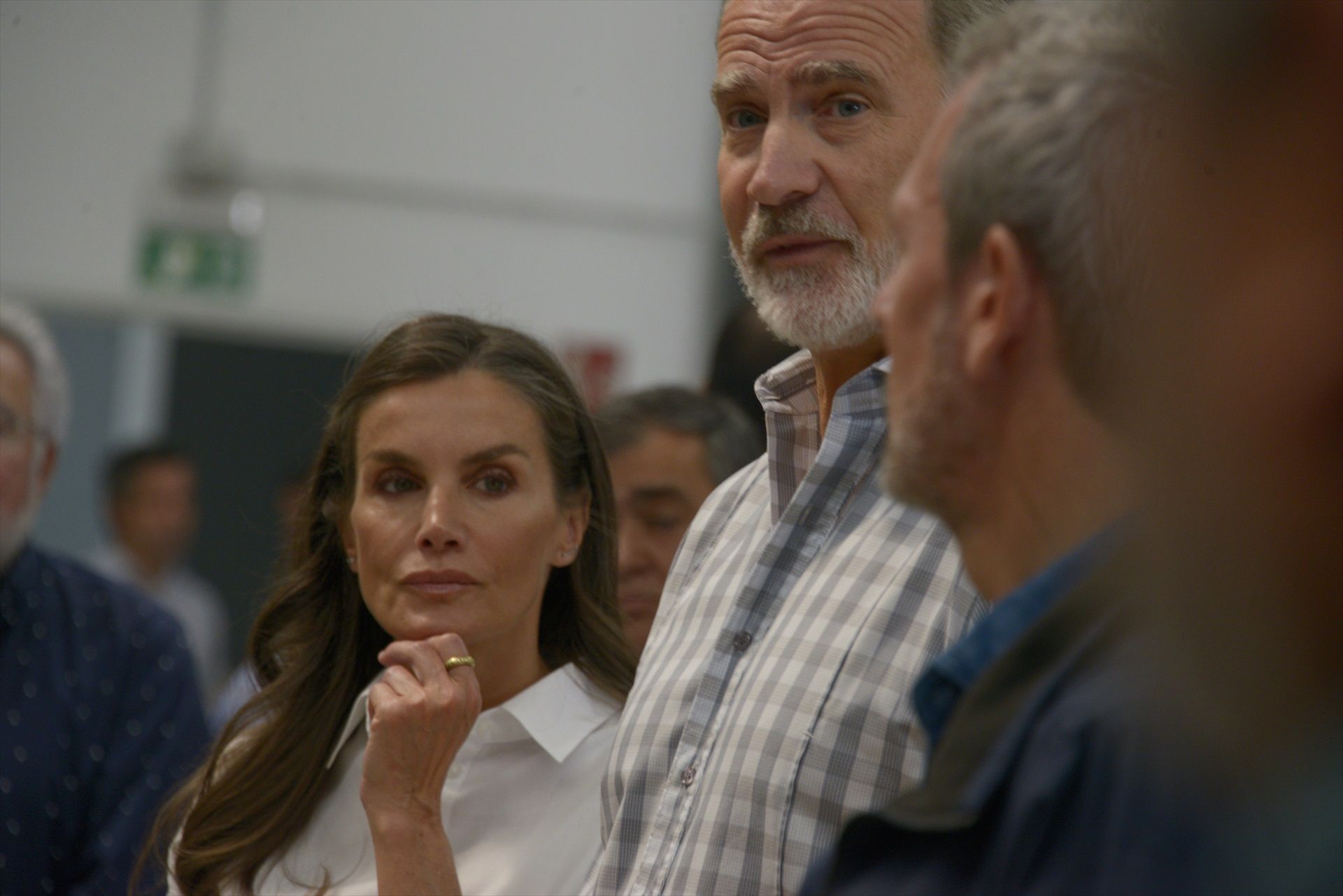 Felipe VI, desolado al ver la tragedia causada por los incendios