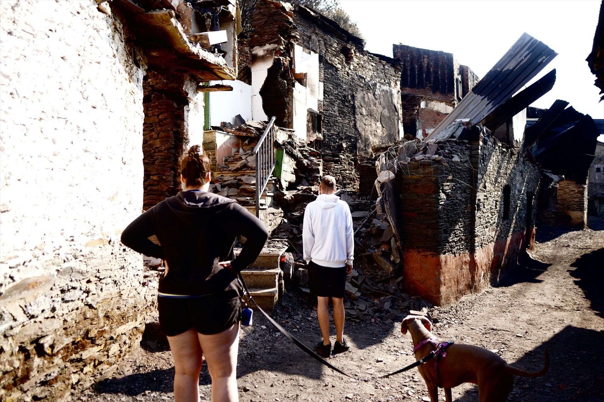 ¿Se puede recalificar un terreno tras un incendio? Esto es lo que permite la ley