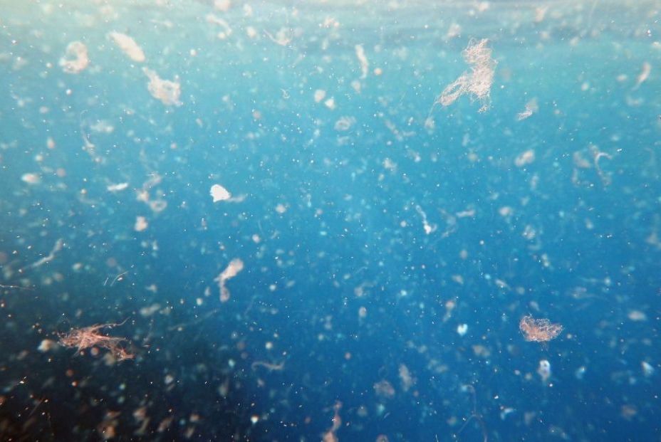 EuropaPress 6880096 microplasticos EuropaPress 6880096 microplasticos