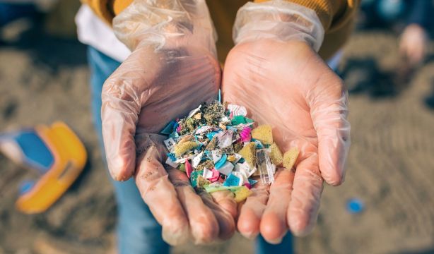 Más de 2.000 sustancias pueden alterar tus hormonas