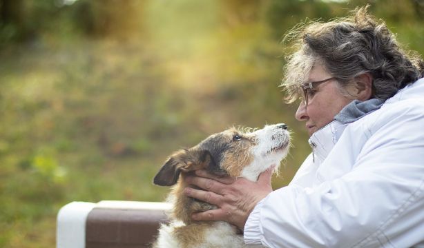 La terapia con animales mejora la movilidad y el bienestar en personas mayores