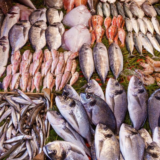 Vegetales baño A fondo El anisakis está en todo tipo de pescados? ¿Cómo evitarlo?