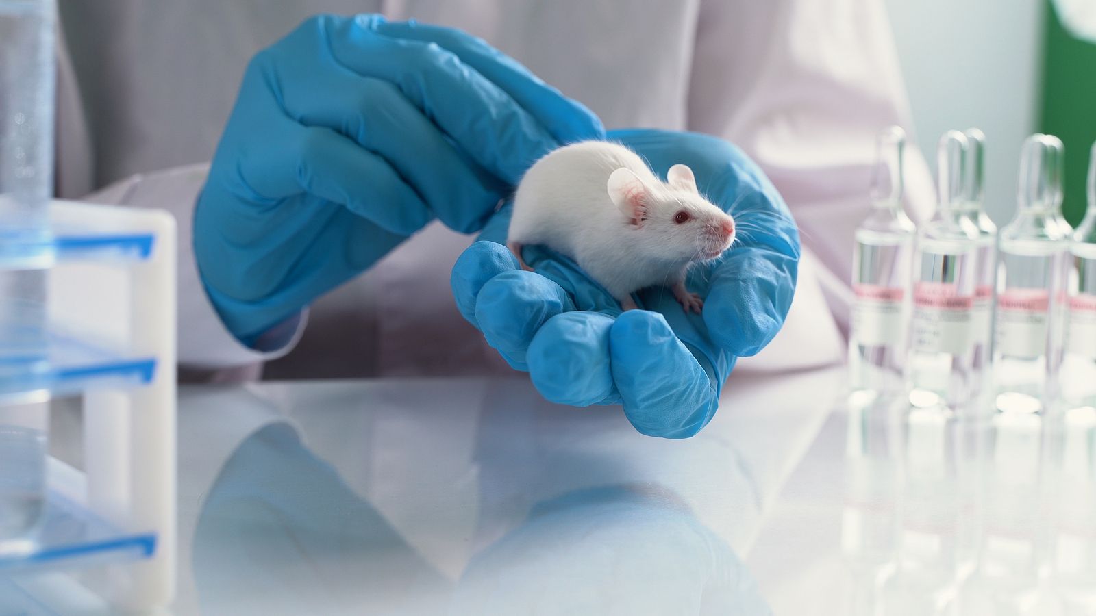 Ratón de laboratorio. Fuente: Bigstock
