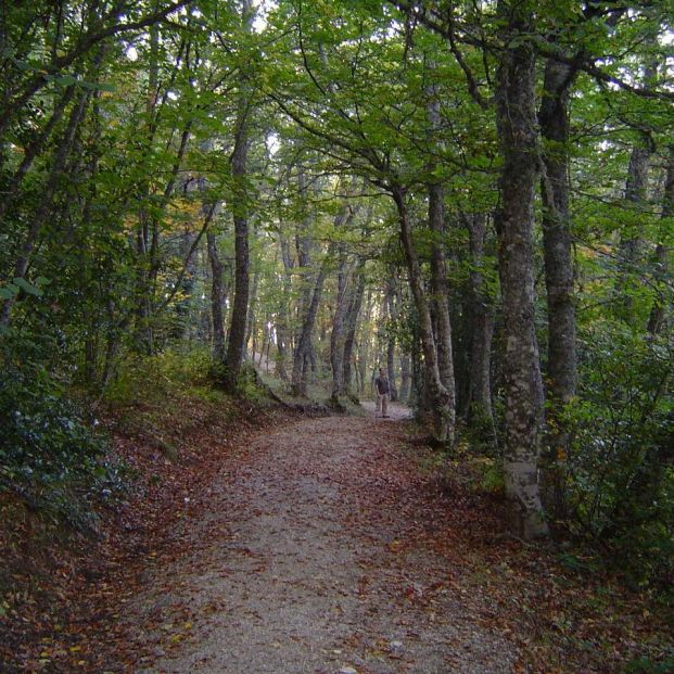 Pueblos y rincones de la montaña palentina que merece la pena descubrir