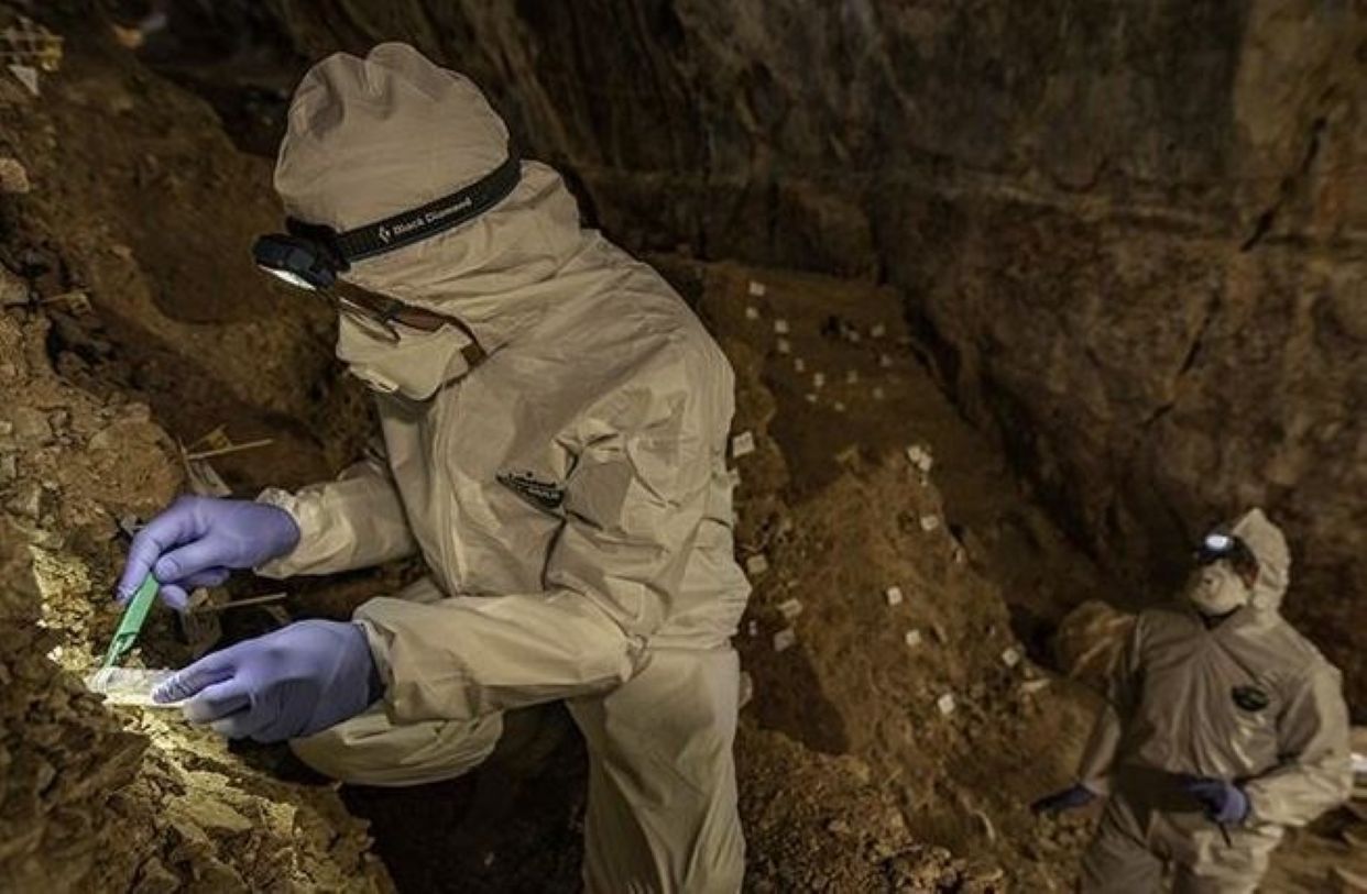 El descubrimiento que ha derribado el estereotipo del hombre cazador en la Edad de Piedra