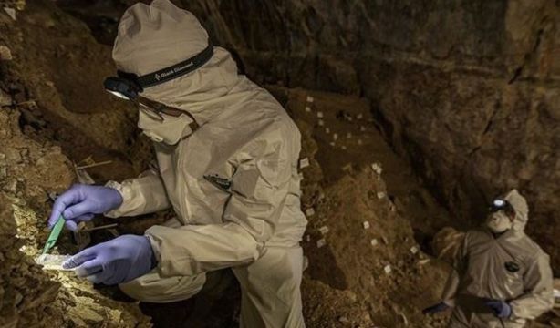 El descubrimiento que ha derribado el estereotipo del hombre cazador en la Edad de Piedra