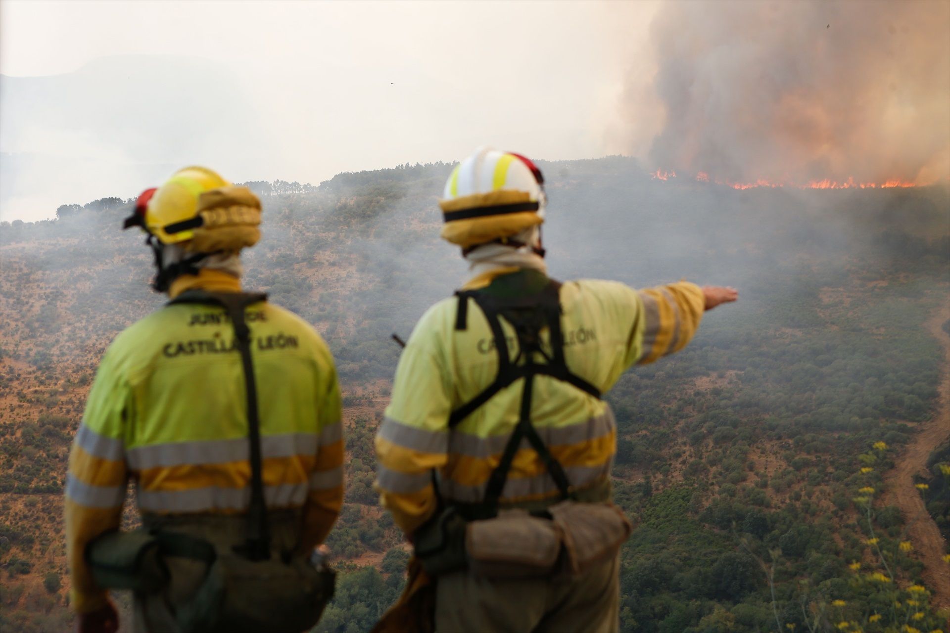Bomberos forestales: así pueden jubilarse anticipadamente desde este jueves