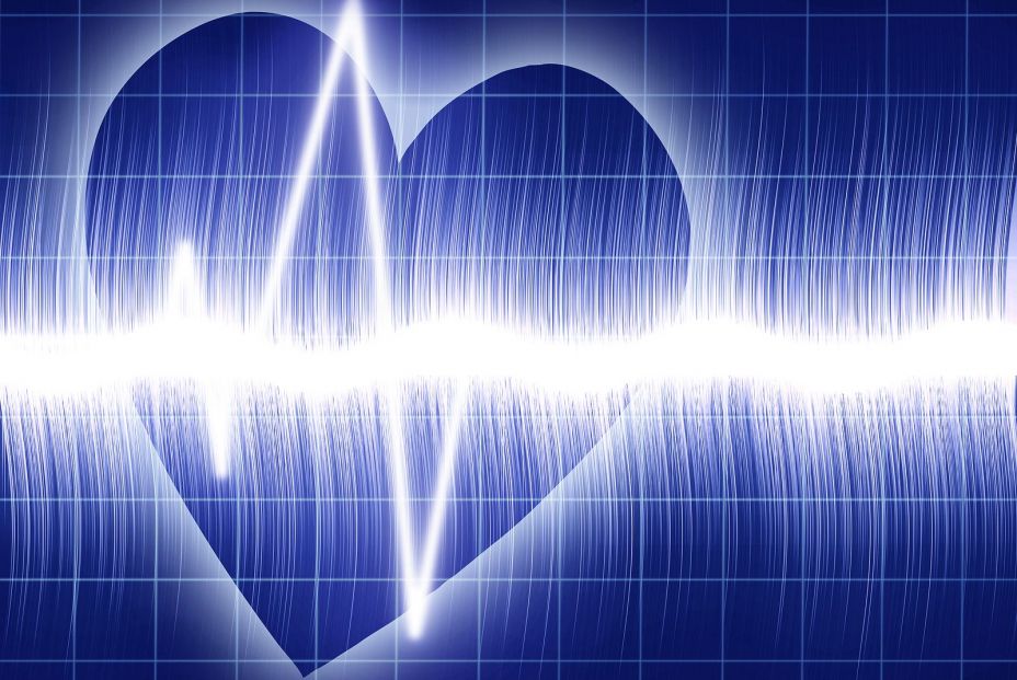 bigstock Heart Beat On Clinic Monitor 2829418