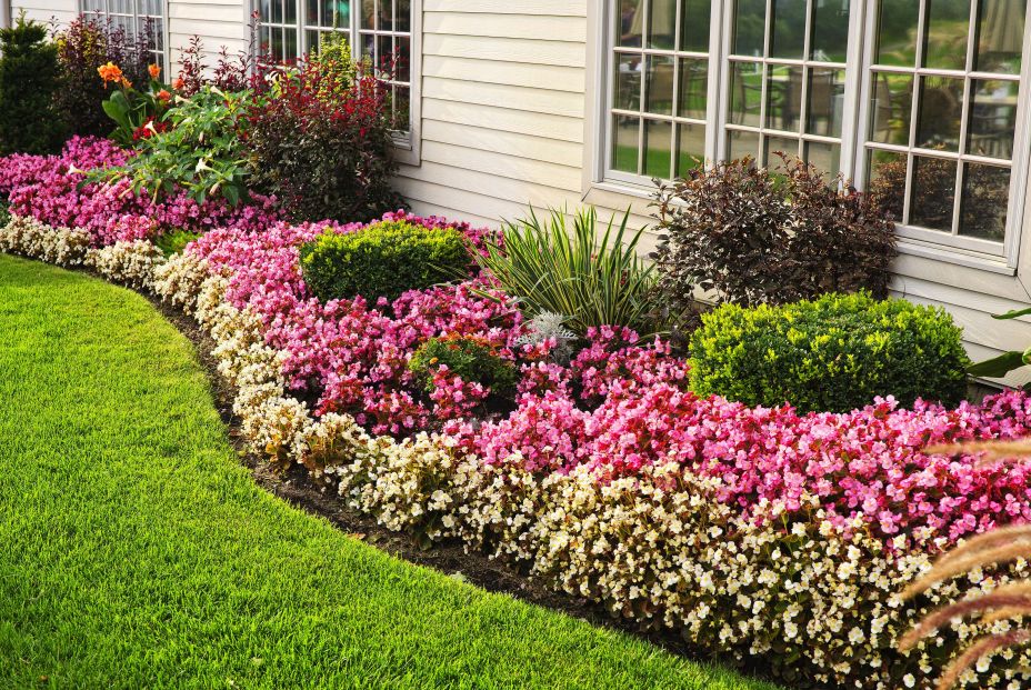 Trucos para conseguir un jardín con flores vivas y coloridas durante todo el año