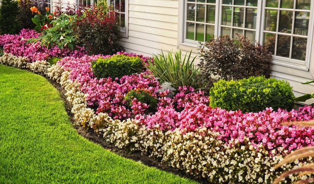 Estas son las 6 plantas que debes podar en octubre: cómo hacerlo antes de que sea demasiado tarde