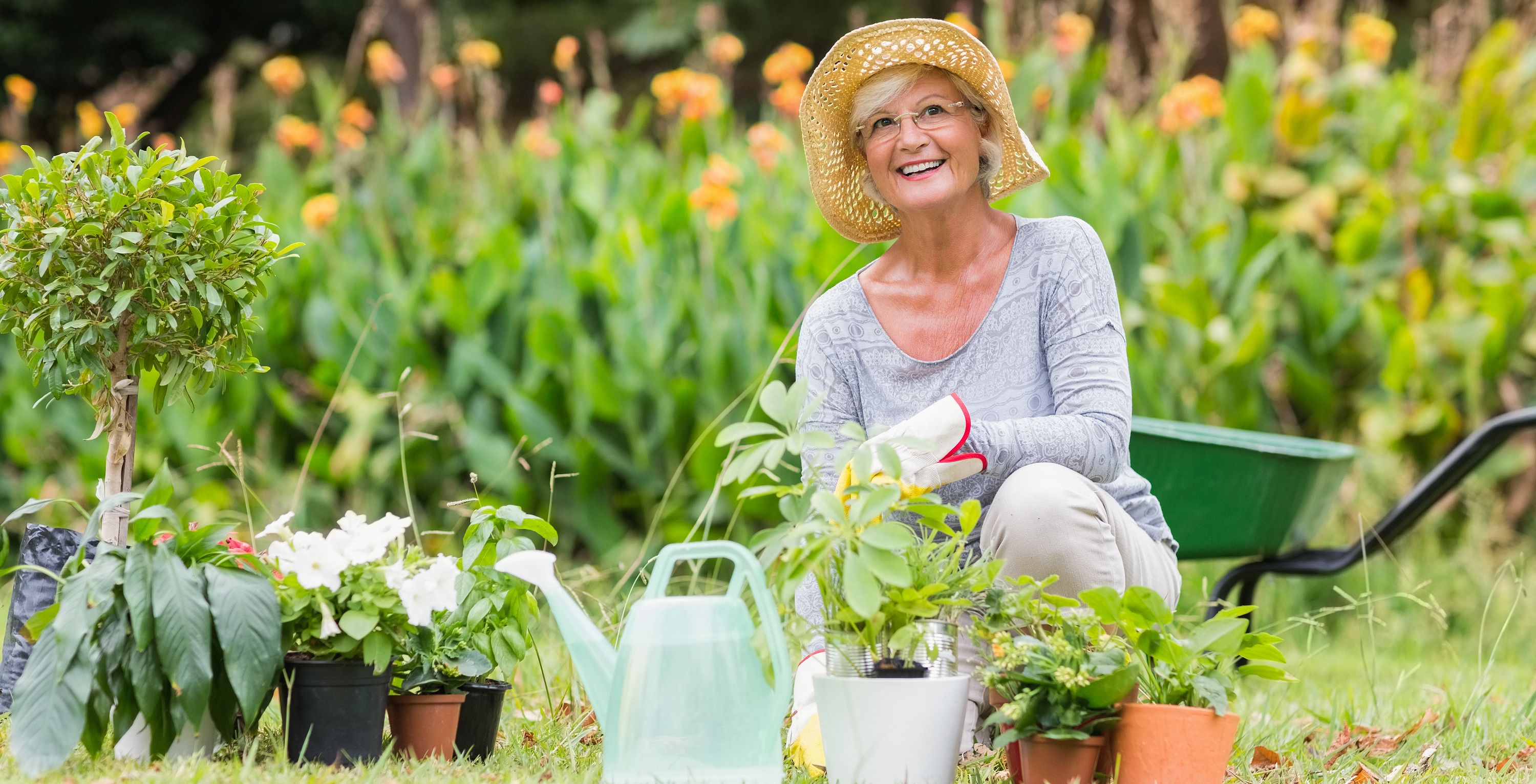 Trucos para conseguir flores vivas y coloridas durante todo el año
