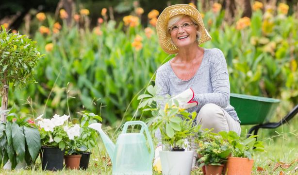 Trucos para conseguir flores vivas y coloridas durante todo el año
