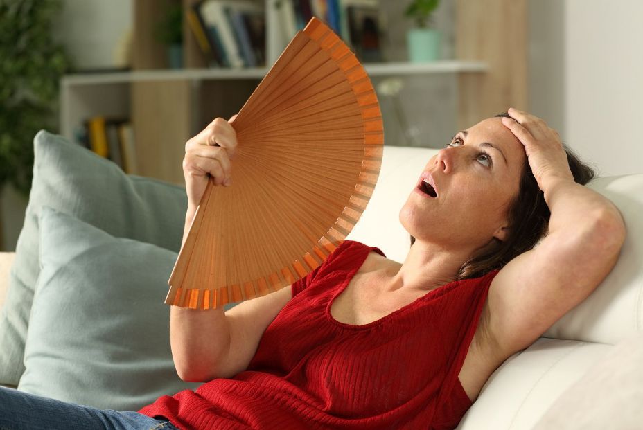 El cerebro en la menopausia: la revolución hormonal que transforma memoria, sueño y emociones El cerebro en la menopausia: la revolución hormonal que transforma memoria, sueño y emociones