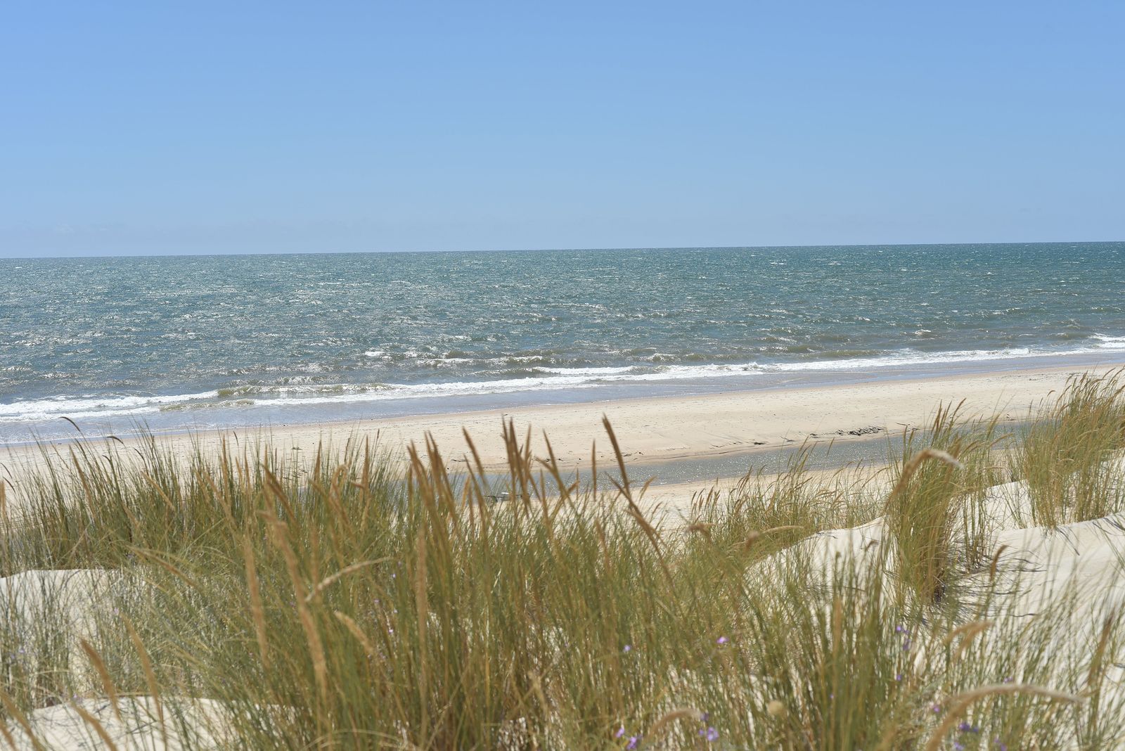 Mejor fecha para visitar Doñana