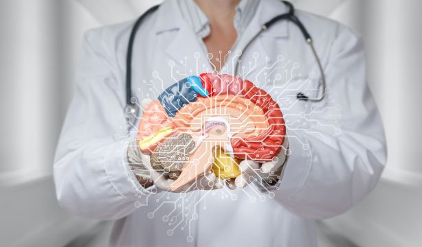 La región cerebral que construye la identidad se forma antes de nacer:  ¿qué ocurre en el Alzhéimer?