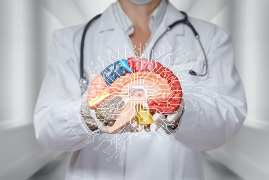 Decálogo para mantener un cerebro saludable. (Bigstock)