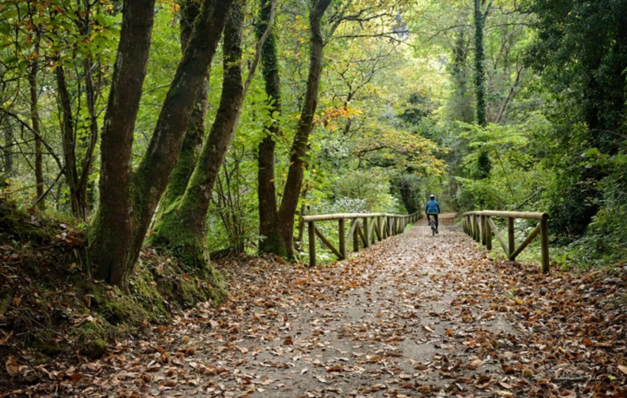 Descubriendo a pie (o en bicicleta) la magia de la Senda del Oso en Asturias