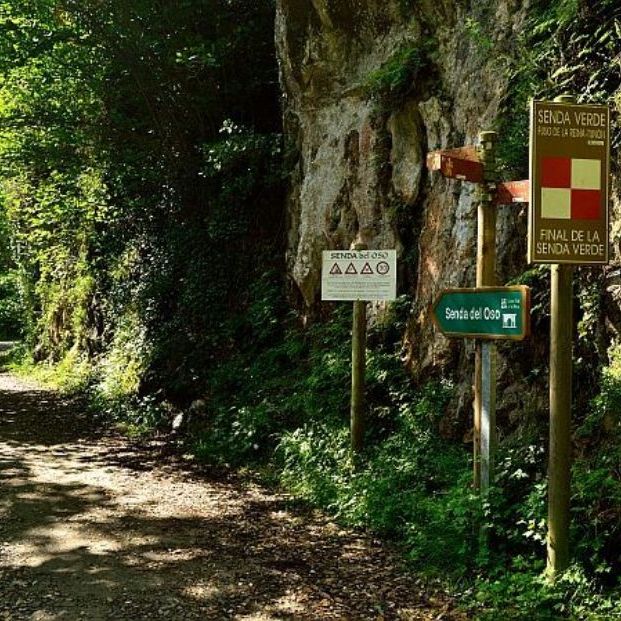 Descubriendo a pie (o en bicicleta) la magia de la Senda del Oso en Asturias