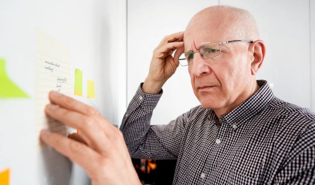 La región cerebral que construye la identidad se forma antes de nacer:  ¿qué ocurre en el alzhéimer?