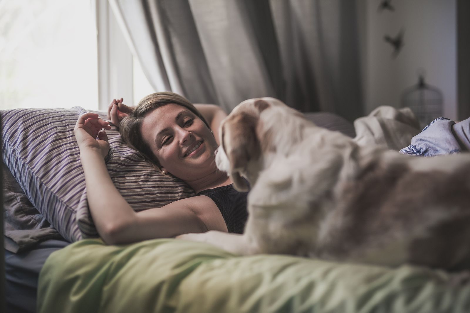 Una veterinaria explica si es conveniente dormir con tu perro o no