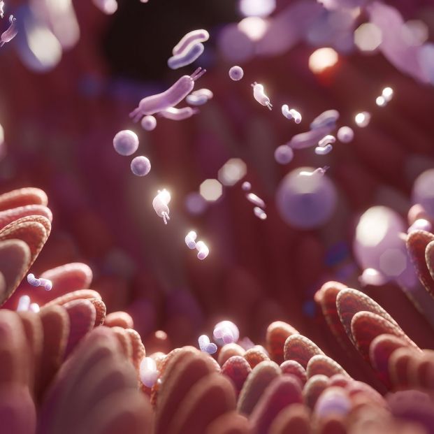 Imagen del microbioma. (Bigstock)