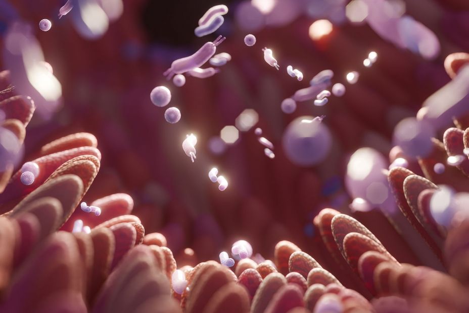 bigstock Microbiome Intestine Factories 454289721 (6) bigstock Microbiome Intestine Factories 454289721 (6)
