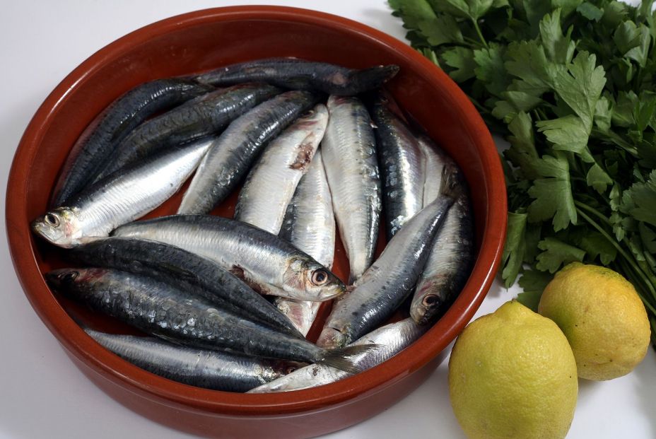 bigstock Sardines pilchards in a rust 26197235 bigstock Sardines pilchards in a rust 26197235
