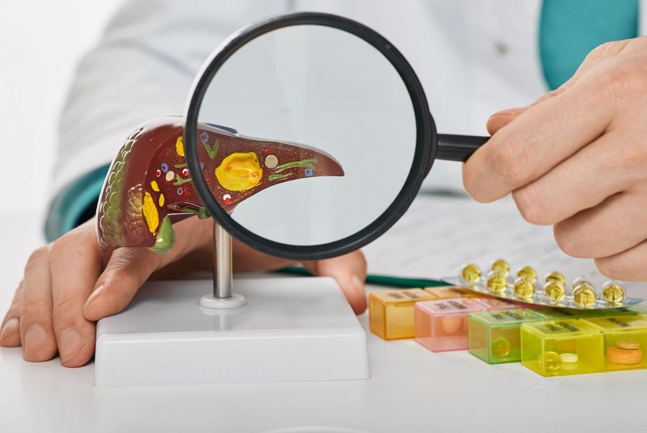 bigstock Human Liver Disease Diagnosis 448581805 bigstock Human Liver Disease Diagnosis 448581805