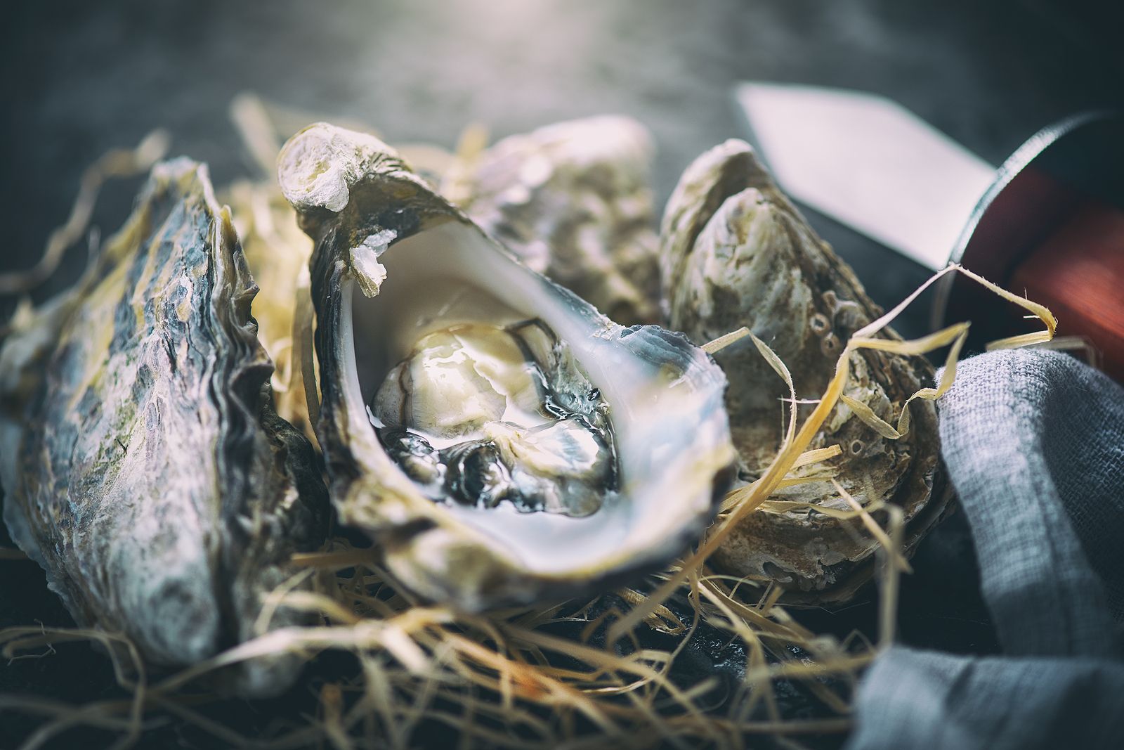 El sector de las ostras pone en valor la diversidad del medio acuático