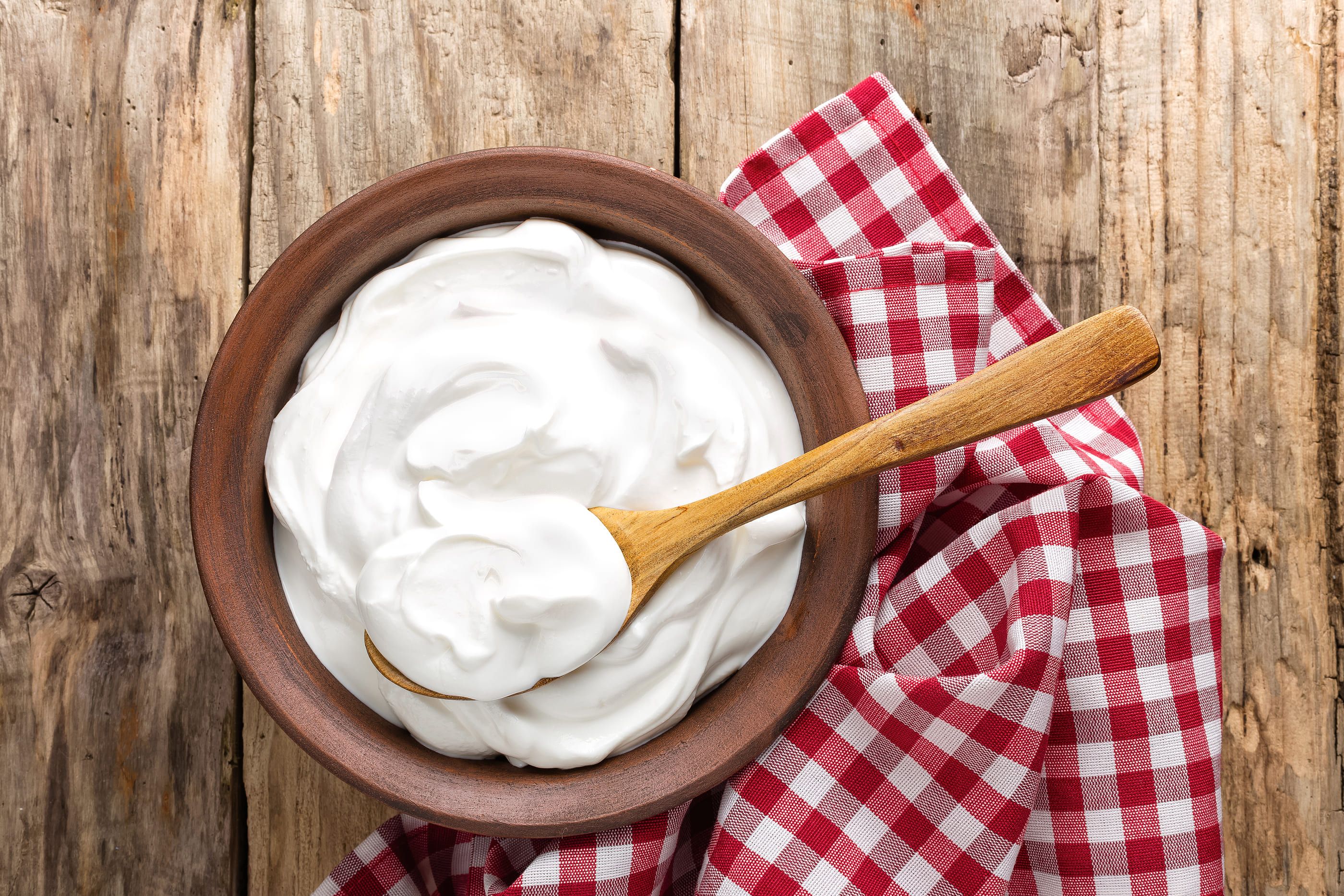 Recuperan una receta tradicional que usa hormigas para hacer yogur