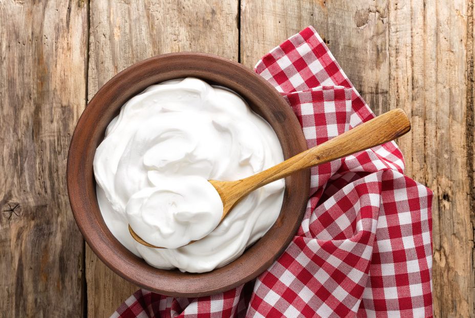 Recuperan una receta tradicional que usa hormigas para hacer yogur Recuperan una receta tradicional que usa hormigas para hacer yogur